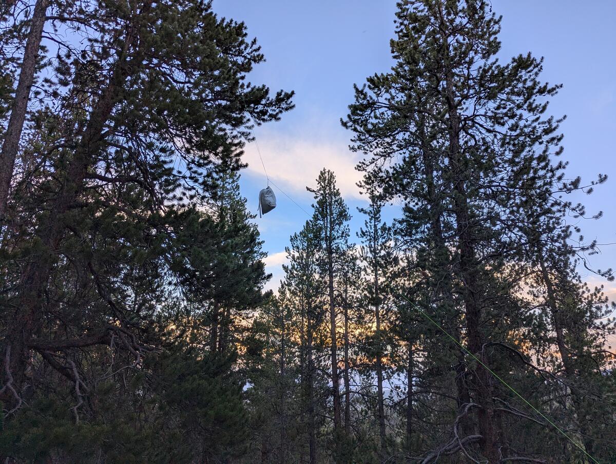 A bear hang I did on trail